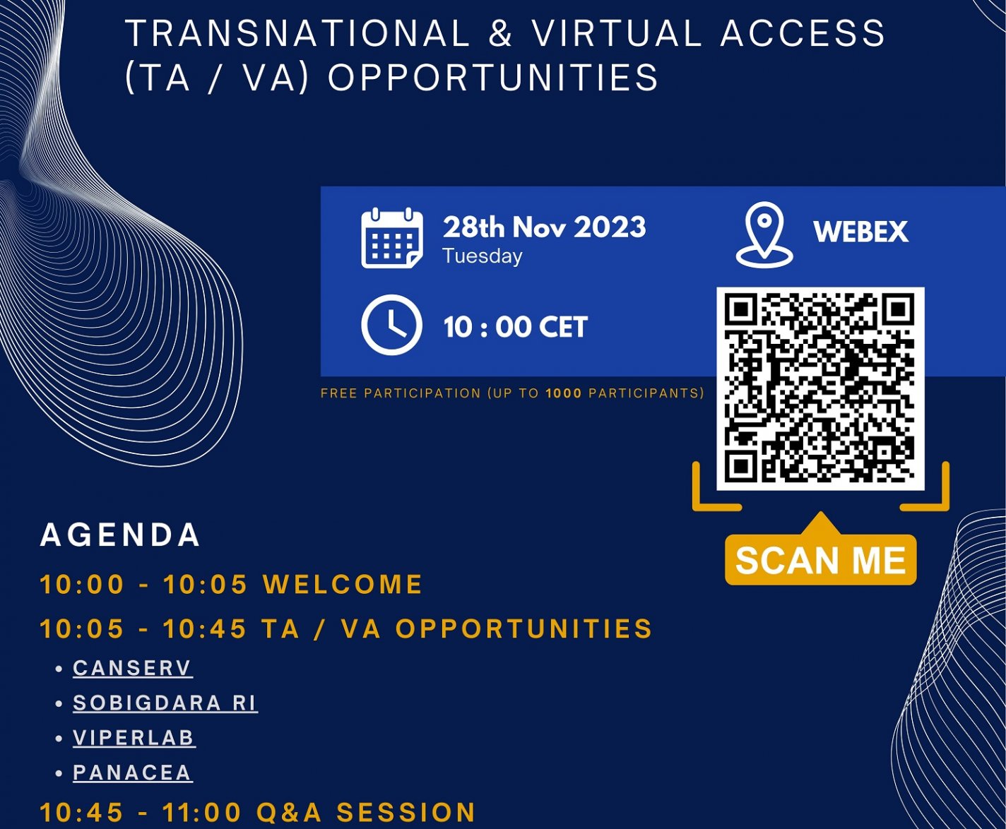 Banner for Webinar from RICH and HNN on Transnational and Virtual Access